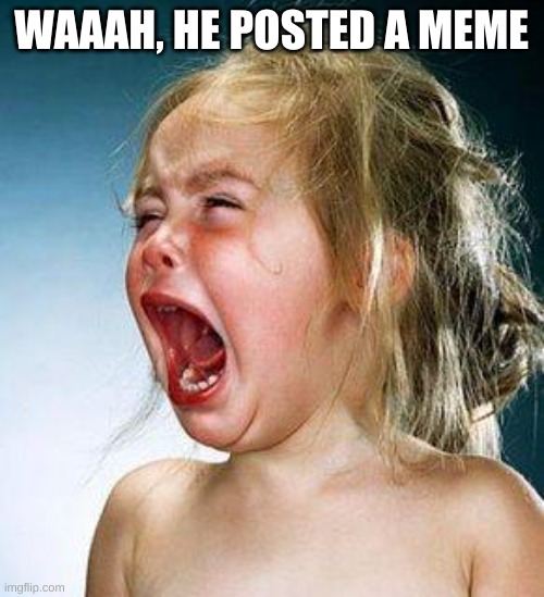 crying girl | WAAAH, HE POSTED A MEME | image tagged in crying girl | made w/ Imgflip meme maker