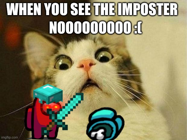 Scared Cat Meme | NOOOOOOOOO :(; WHEN YOU SEE THE IMPOSTER | image tagged in memes,scared cat | made w/ Imgflip meme maker
