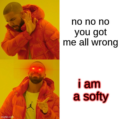 hes a softie :} | no no no you got me all wrong; i am  a softy | image tagged in memes,drake hotline bling | made w/ Imgflip meme maker