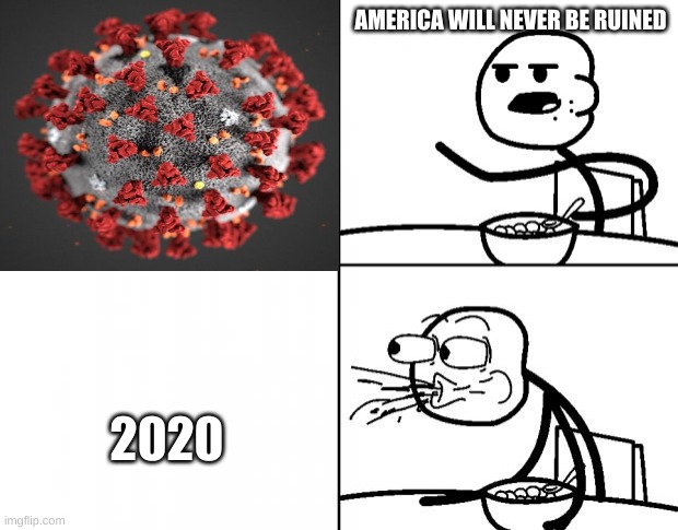 covid  meme | AMERICA WILL NEVER BE RUINED; 2020 | image tagged in who would win | made w/ Imgflip meme maker