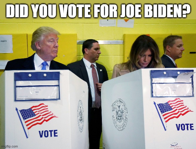 TRUMP VOTES FOR BIDEN | image tagged in vote,biden,trump votes,traitor,cheater,democracy | made w/ Imgflip meme maker