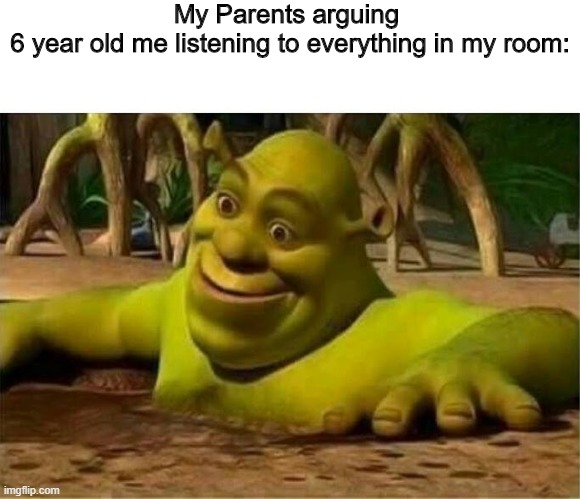 has anyone had this happen in their life? | My Parents arguing 
6 year old me listening to everything in my room: | image tagged in shrek | made w/ Imgflip meme maker