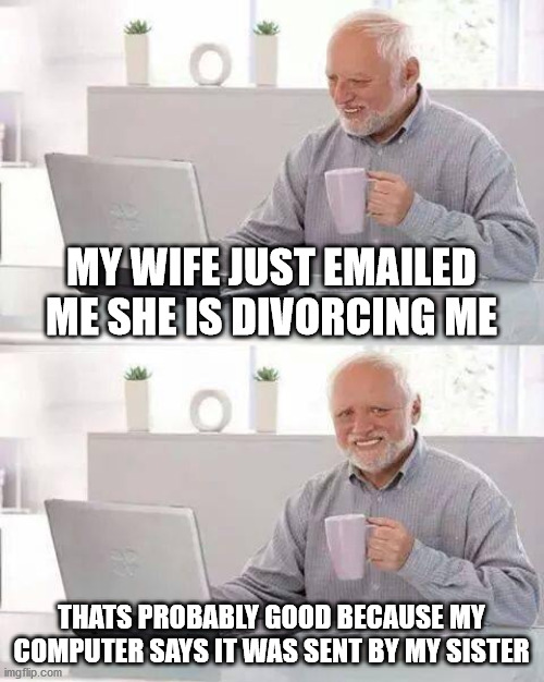 Oof harold | MY WIFE JUST EMAILED ME SHE IS DIVORCING ME; THATS PROBABLY GOOD BECAUSE MY COMPUTER SAYS IT WAS SENT BY MY SISTER | image tagged in memes,hide the pain harold | made w/ Imgflip meme maker