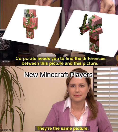 They're The Same Picture | New Minecraft Players | image tagged in memes,they're the same picture | made w/ Imgflip meme maker