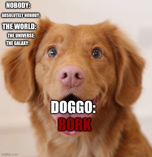this my dog when dude farts in china: | NOBODY:; ABSOLUTELY NOBODY:; THE WORLD:; THE UNIVERSE:; THE GALAXY:; DOGGO:; BORK | image tagged in dog,bork,bark,woof,hec | made w/ Imgflip meme maker