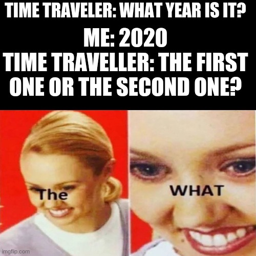 hold up | TIME TRAVELER: WHAT YEAR IS IT? ME: 2020
TIME TRAVELLER: THE FIRST ONE OR THE SECOND ONE? | image tagged in the what | made w/ Imgflip meme maker