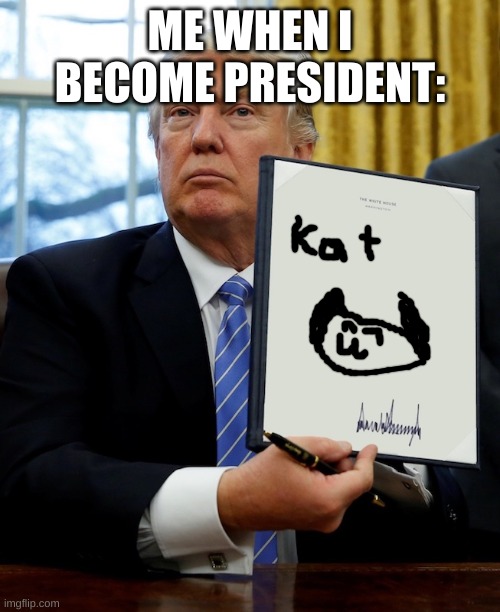 oof goes president | ME WHEN I BECOME PRESIDENT: | image tagged in donald trump blank executive order | made w/ Imgflip meme maker