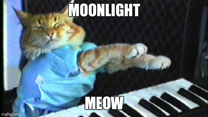 Piano cat | MOONLIGHT; MEOW | image tagged in piano cat,theimposter27 | made w/ Imgflip meme maker