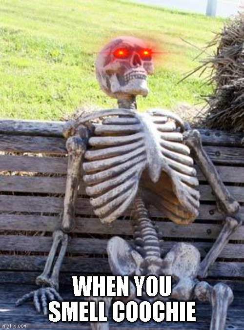 hoomie | WHEN YOU SMELL COOCHIE | image tagged in memes,waiting skeleton | made w/ Imgflip meme maker
