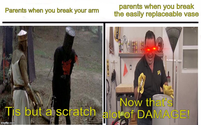 Parents when you break your arm; parents when you break the easily replaceable vase; Now that's alot of DAMAGE! Tis but a scratch | image tagged in who would win,tis but a scratch,now that's a lot of damage,phil swift,flex tape,parents | made w/ Imgflip meme maker