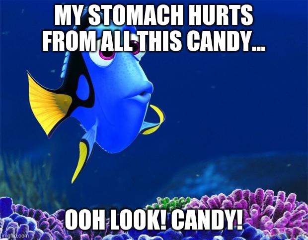 CANDY! | MY STOMACH HURTS FROM ALL THIS CANDY... OOH LOOK! CANDY! | image tagged in dory,candy | made w/ Imgflip meme maker