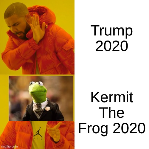 Drake Hotline Bling Meme | Trump 2020; Kermit The Frog 2020 | image tagged in memes,drake hotline bling | made w/ Imgflip meme maker