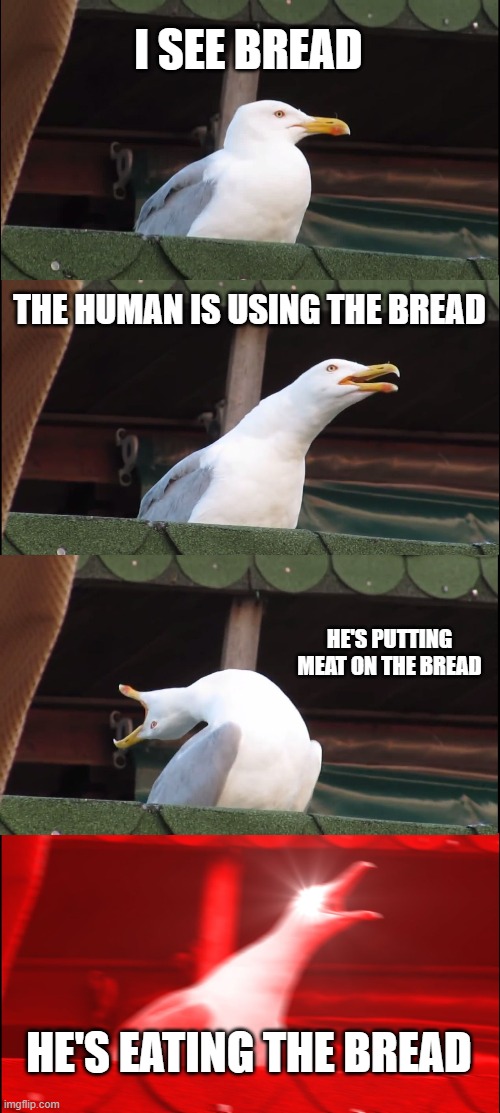 I WANT DE BREAD | I SEE BREAD; THE HUMAN IS USING THE BREAD; HE'S PUTTING MEAT ON THE BREAD; HE'S EATING THE BREAD | image tagged in memes,inhaling seagull | made w/ Imgflip meme maker