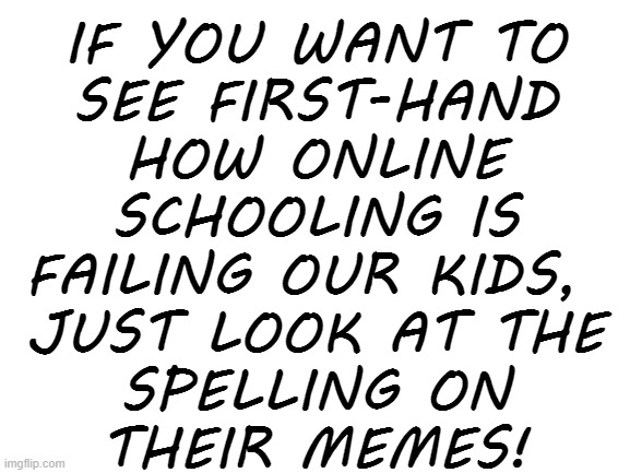 Epic fail. | IF YOU WANT TO
SEE FIRST-HAND
HOW ONLINE
SCHOOLING IS
FAILING OUR KIDS, 
JUST LOOK AT THE
SPELLING ON
THEIR MEMES! | image tagged in memes,online school | made w/ Imgflip meme maker