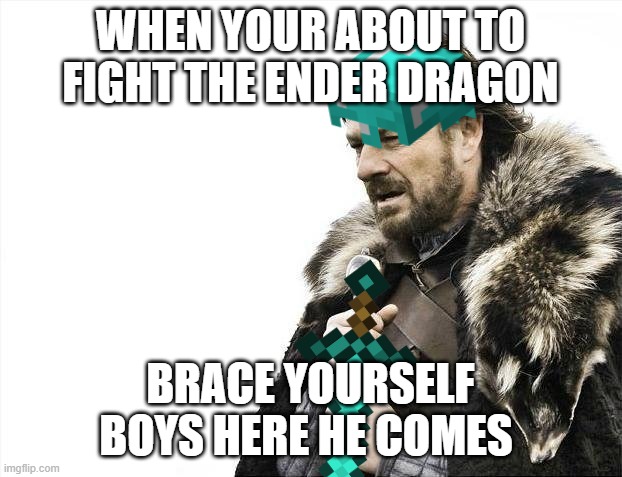 sparta | WHEN YOUR ABOUT TO FIGHT THE ENDER DRAGON; BRACE YOURSELF BOYS HERE HE COMES | image tagged in memes,brace yourselves x is coming | made w/ Imgflip meme maker