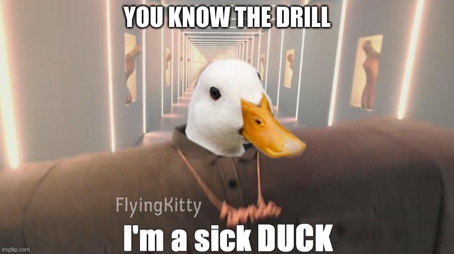 preferances in comments >:3 | YOU KNOW THE DRILL | image tagged in i'm a sick duck | made w/ Imgflip meme maker