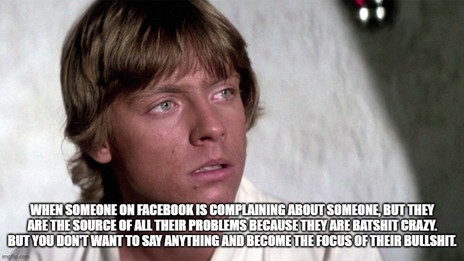 Crazy Facebook Friends | WHEN SOMEONE ON FACEBOOK IS COMPLAINING ABOUT SOMEONE, BUT THEY ARE THE SOURCE OF ALL THEIR PROBLEMS BECAUSE THEY ARE BATSHIT CRAZY. BUT YOU DON'T WANT TO SAY ANYTHING AND BECOME THE FOCUS OF THEIR BULLSHIT. | image tagged in crazy facebook friends | made w/ Imgflip meme maker