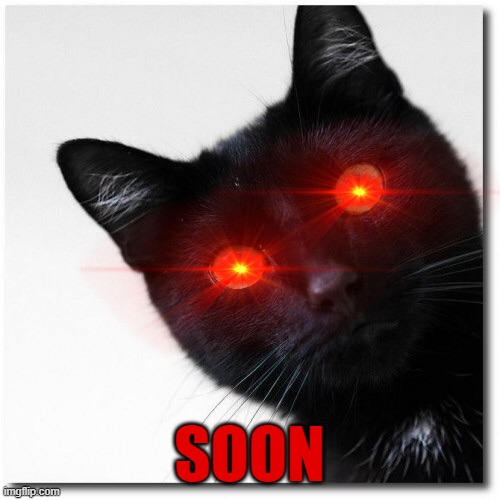 Black Cats Matter | SOON | image tagged in black cats matter | made w/ Imgflip meme maker