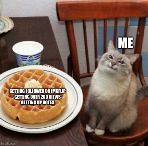 Cat likes their waffle | ME; GETTING FOLLOWED ON IMGFLIP 
GETTING OVER 200 VIEWS 
GETTING UP VOTES | image tagged in cat likes their waffle | made w/ Imgflip meme maker