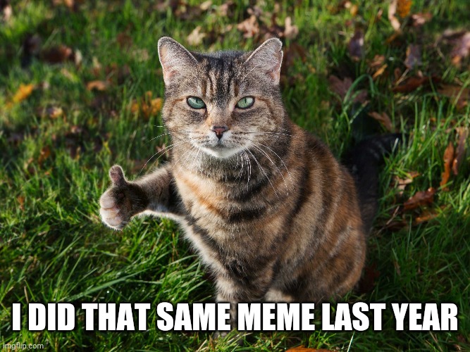 THUMBS UP CAT | I DID THAT SAME MEME LAST YEAR | image tagged in thumbs up cat | made w/ Imgflip meme maker