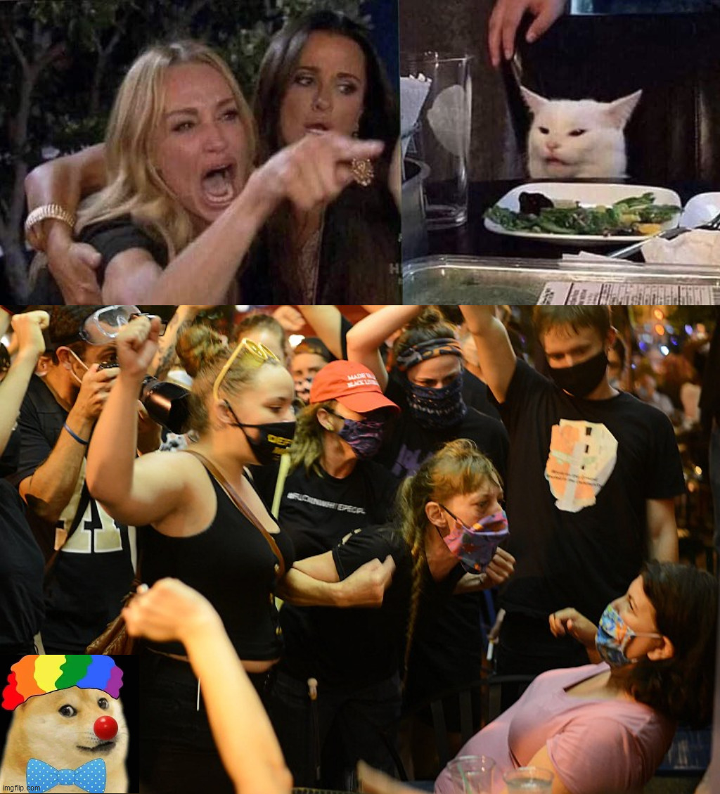 When Clown World kicks in and you become the meme | image tagged in woman yelling at cat,blm,dc,diner | made w/ Imgflip meme maker