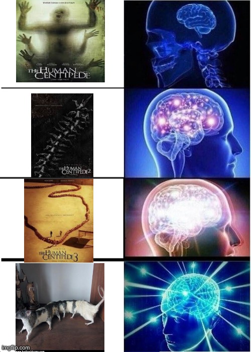 No | image tagged in memes,expanding brain | made w/ Imgflip meme maker