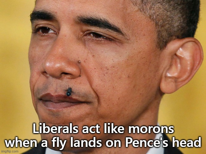 Return of the Fly | Liberals act like morons when a fly lands on Pence's head | image tagged in mike pence,obama | made w/ Imgflip meme maker