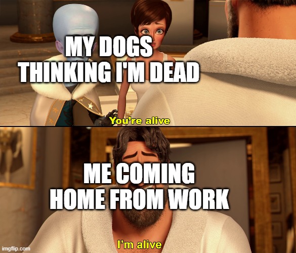 They missed me! | MY DOGS THINKING I'M DEAD; ME COMING HOME FROM WORK | image tagged in memes,funny,megamind,dogs,work | made w/ Imgflip meme maker