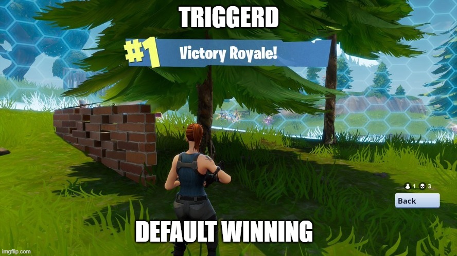Gaming Fortnight Victory Royale Memes Gifs Imgflip