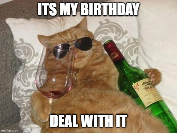 Funny Cat Birthday | ITS MY BIRTHDAY; DEAL WITH IT | image tagged in funny cat birthday | made w/ Imgflip meme maker