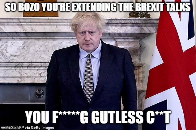 Boris Covidicus Johnson | SO BOZO YOU'RE EXTENDING THE BREXIT TALKS; YOU F*****G GUTLESS C**T | image tagged in boris covidicus johnson | made w/ Imgflip meme maker