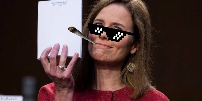 Thug Life Amy Barrett | image tagged in constitution,thug life,liberal logic,libertarian | made w/ Imgflip meme maker
