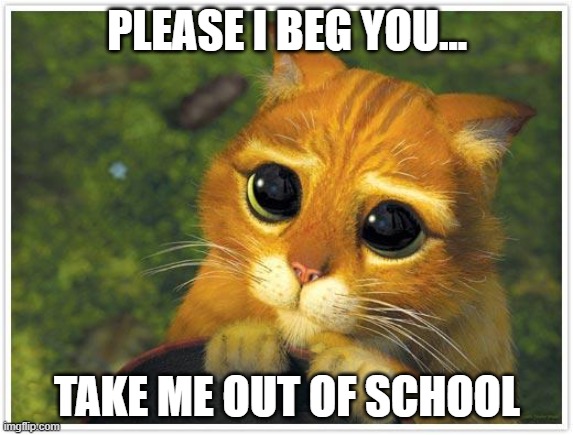 Shrek Cat Meme | PLEASE I BEG YOU... TAKE ME OUT OF SCHOOL | image tagged in memes,shrek cat | made w/ Imgflip meme maker