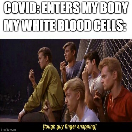 Tough Guy Finger Snapping | COVID: ENTERS MY BODY; MY WHITE BLOOD CELLS: | image tagged in tough guy finger snapping | made w/ Imgflip meme maker