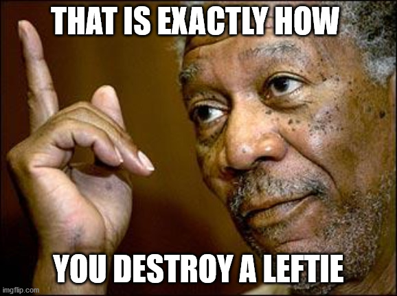 This Morgan Freeman | THAT IS EXACTLY HOW YOU DESTROY A LEFTIE | image tagged in this morgan freeman | made w/ Imgflip meme maker