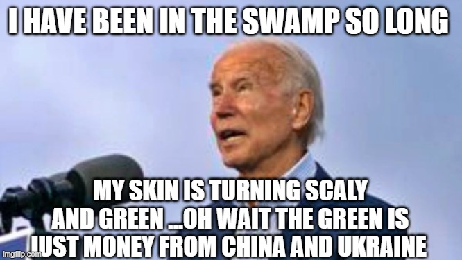 47 years in the swamp will make your skin crawl | I HAVE BEEN IN THE SWAMP SO LONG; MY SKIN IS TURNING SCALY AND GREEN ...OH WAIT THE GREEN IS JUST MONEY FROM CHINA AND UKRAINE | image tagged in sleepy creepy joe | made w/ Imgflip meme maker