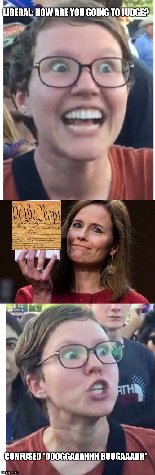 Amy Barrett | LIBERAL: HOW ARE YOU GOING TO JUDGE? CONFUSED *OOOGGAAAHHH BOOGAAAHH* | image tagged in liberals,liberal logic | made w/ Imgflip meme maker