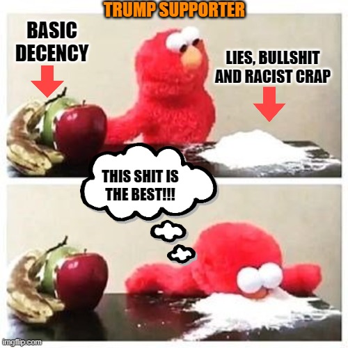 Supporting Trump is VILE | TRUMP SUPPORTER; BASIC DECENCY; LIES, BULLSHIT
AND RACIST CRAP; THIS SHIT IS
THE BEST!!! | image tagged in donald trump small brain,trump sucks | made w/ Imgflip meme maker