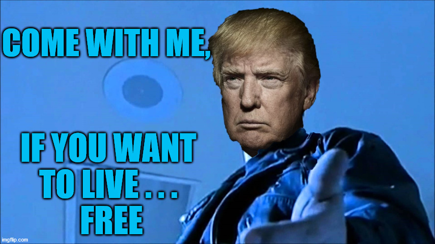 Terminator, Come With Me | IF YOU WANT
TO LIVE . . .

 FREE; COME WITH ME, | image tagged in terminator come with me,memes,donald trump,2020 elections,freedom,no no he's got a point | made w/ Imgflip meme maker