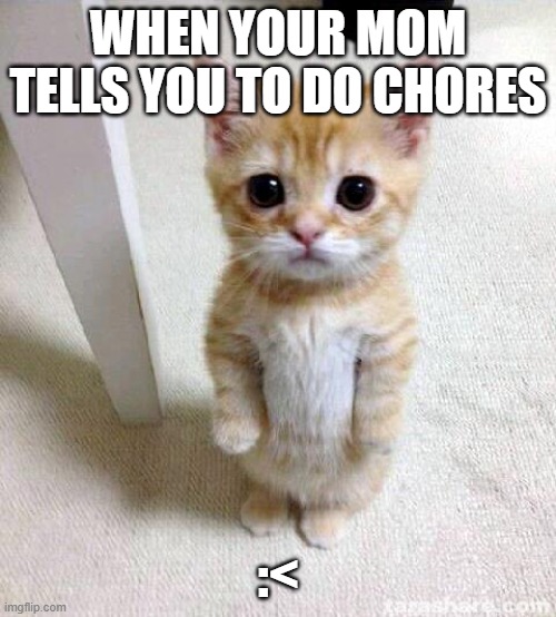 Cute Cat | WHEN YOUR MOM TELLS YOU TO DO CHORES; :< | image tagged in memes,cute cat,cute,meow | made w/ Imgflip meme maker