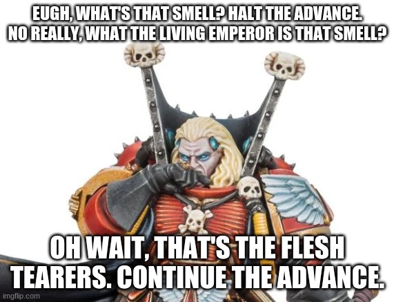 What's That Smell? | EUGH, WHAT'S THAT SMELL? HALT THE ADVANCE. NO REALLY, WHAT THE LIVING EMPEROR IS THAT SMELL? OH WAIT, THAT'S THE FLESH TEARERS. CONTINUE THE ADVANCE. | image tagged in what's that smell mephiston,warhammer 40k | made w/ Imgflip meme maker