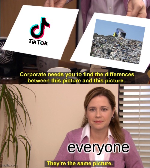 They're The Same Picture | everyone | image tagged in memes,they're the same picture | made w/ Imgflip meme maker