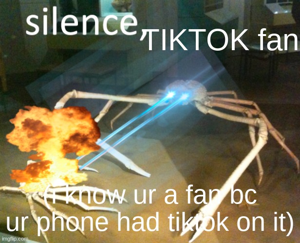 Silence Crab | TIKTOK fan (i know ur a fan bc ur phone had tiktok on it) | image tagged in silence crab | made w/ Imgflip meme maker