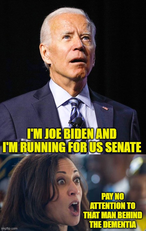 If you hate Trump so much you'll vote for a dementia ridden, do nothing idiot, you're part of the problem. | I'M JOE BIDEN AND I'M RUNNING FOR US SENATE; PAY NO ATTENTION TO THAT MAN BEHIND THE DEMENTIA | image tagged in kamala harriss,joe biden | made w/ Imgflip meme maker