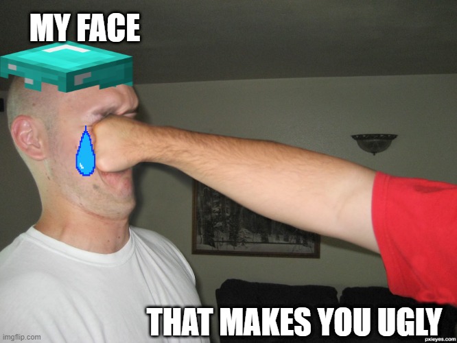 Face punch | MY FACE; THAT MAKES YOU UGLY | image tagged in face punch | made w/ Imgflip meme maker