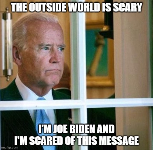 Basement Joe Biden Pontificates | THE OUTSIDE WORLD IS SCARY; I'M JOE BIDEN AND I'M SCARED OF THIS MESSAGE | image tagged in sad joe biden | made w/ Imgflip meme maker