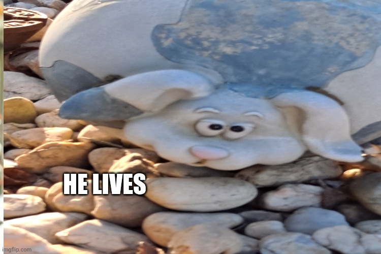 he lives | HE LIVES | image tagged in bugs bunny | made w/ Imgflip meme maker