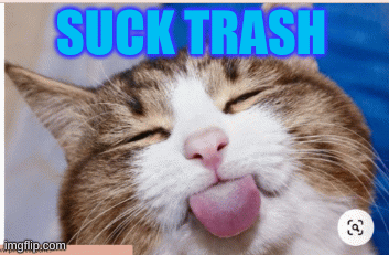 U SUCK TRASH | SUCK TRASH | image tagged in gifs,cats,funny | made w/ Imgflip images-to-gif maker