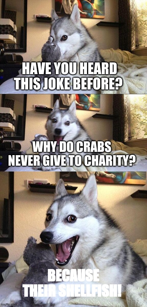 Bad Pun Dog Meme | HAVE YOU HEARD THIS JOKE BEFORE? WHY DO CRABS NEVER GIVE TO CHARITY? BECAUSE THEIR SHELLFISH! | image tagged in memes,bad pun dog | made w/ Imgflip meme maker