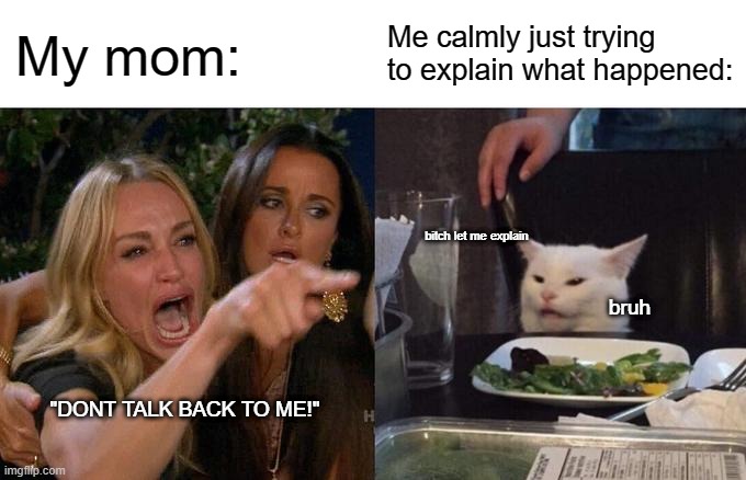 Why is this so true tf | Me calmly just trying to explain what happened:; My mom:; bitch let me explain; bruh; "DONT TALK BACK TO ME!" | image tagged in memes,woman yelling at cat | made w/ Imgflip meme maker